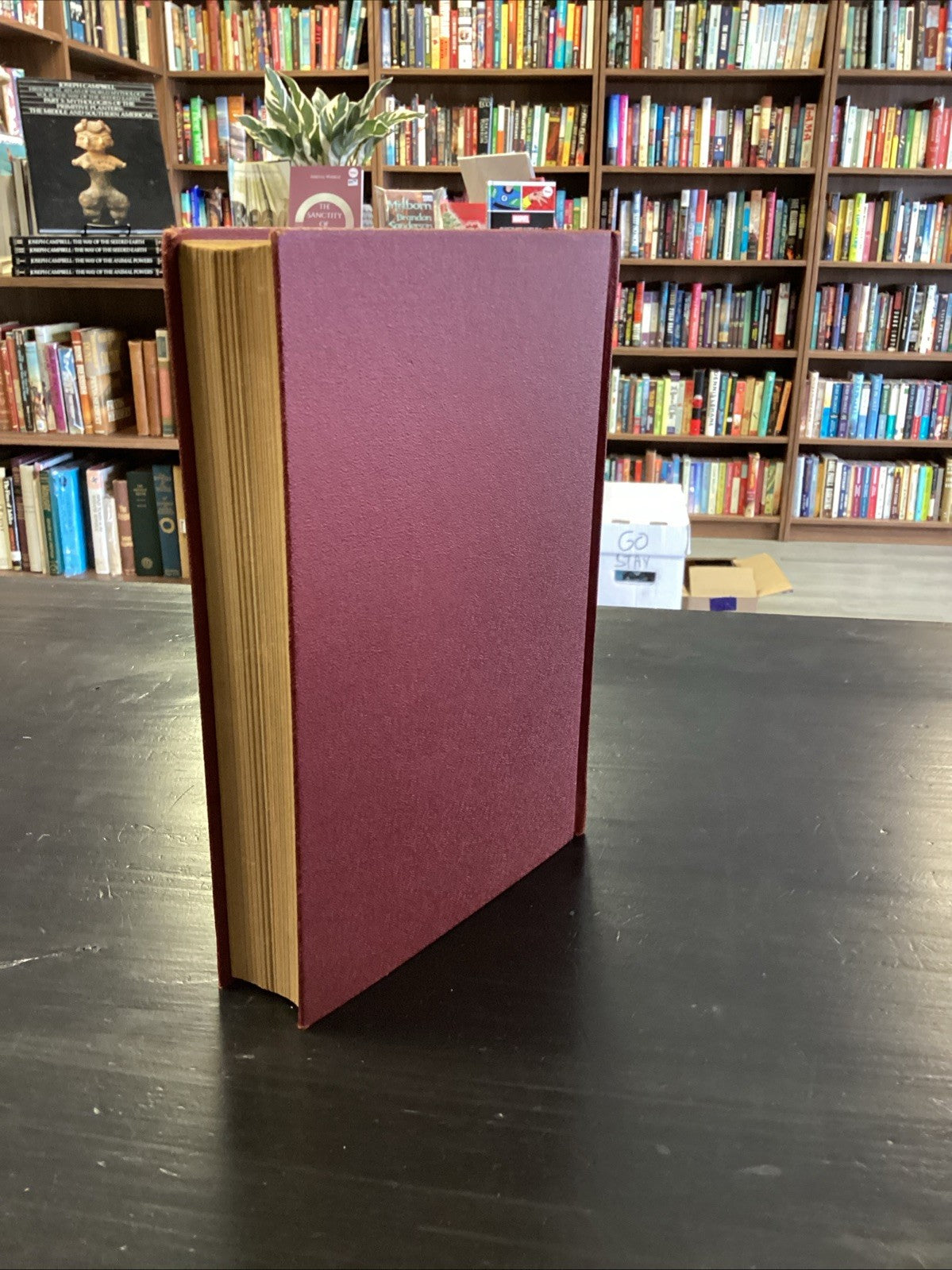 7d658336-867b-420b-89df-abca243979d4