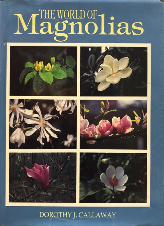 e1f04afe-f1eb-423a-b14b-c826ccf42fe3